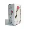 Paşabahçe 43406 Botanica Cam Vazo 21 Cm