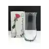 Paşabahçe 43406 Botanica Cam Vazo 21 Cm