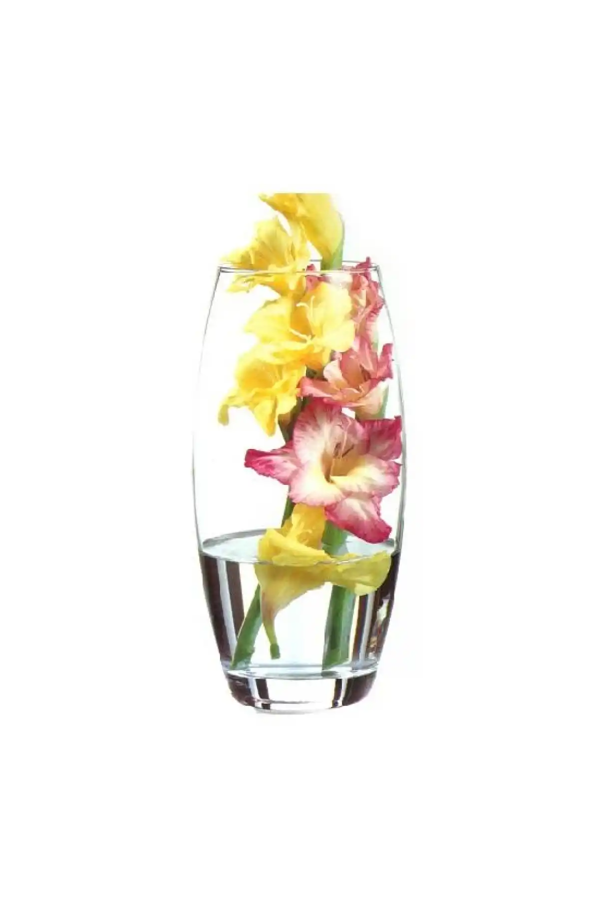 Paşabahçe 43966 Botanica Cam Vazo 26x8.2 cm