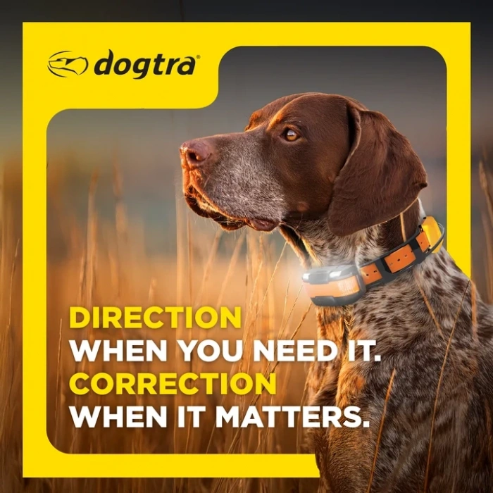 DOGTRA PATHFINDER2 COMPASS GPS