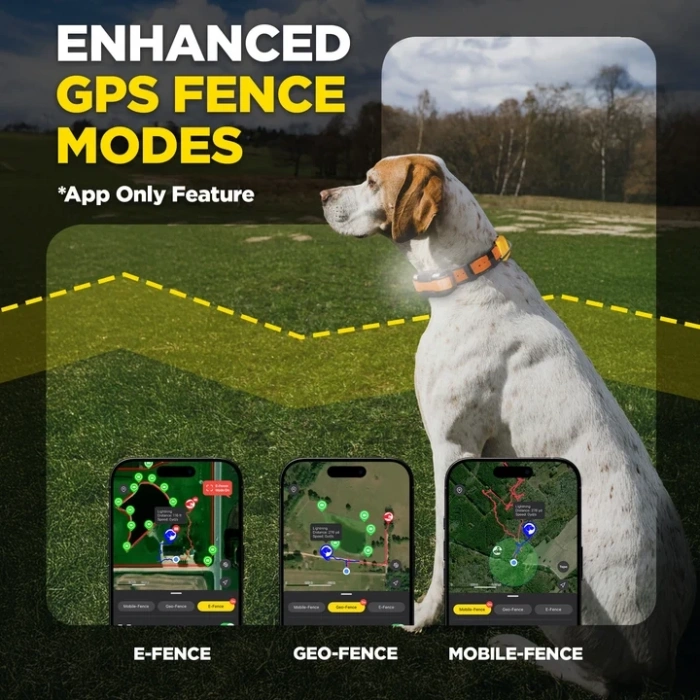 DOGTRA PATHFINDER2 MINI COMPASS GPS