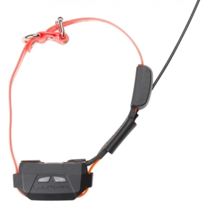 NUMAXES CANİCOM ŞOKLU MİNİ 2 EK TASMA