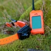 DOG TRACE GPS X30B BEEPERLI