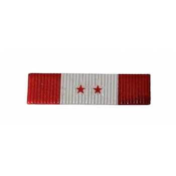 TERÖRLE MÜCADELE HİZMET ŞERİT ROZETİ İKİ YILDIZ (6 YIL ÜZERİ GÖREV YAPMIŞ)