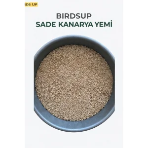 Birds Up Sade Kanarya Yemi 25Kg