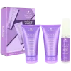 Alterna Caviar Hacim Arttıran Saç Bakım Seti 40+40+25ml 873509028130