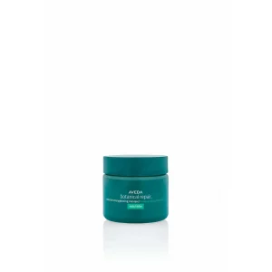 Aveda Botanical Repair Kalın Telli Yıpranmış Saçlar Onarım Maskesi 25ml 018084020807