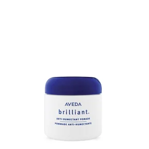Aveda Brilliant Elektriklenme Karşıtı Saç Pomadı 75ml 018084811238