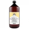 Davines Purifying Kepeğe Karşı Şampuan 1000ml 8004608236603 Pompa Hediyeli
