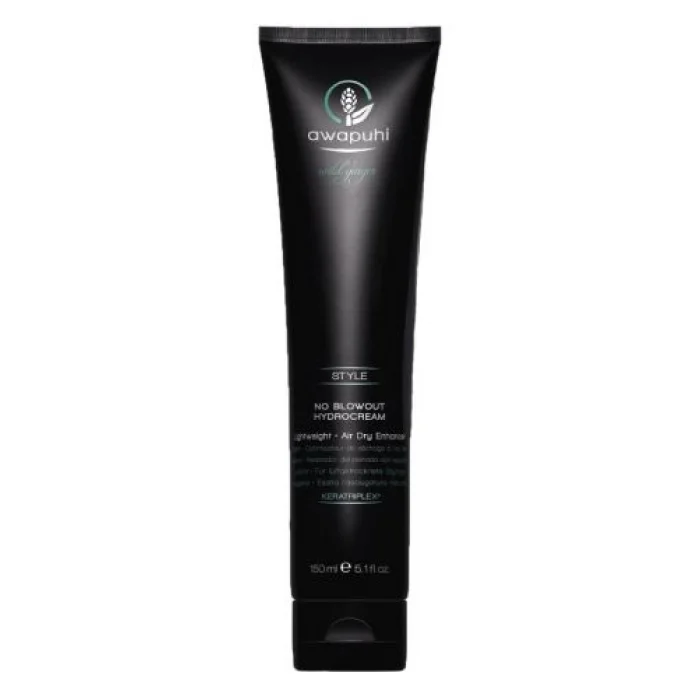Paul Mitchell Awapuhi Wild Ginger No Blowout Hydrocream 150ml 009531128412