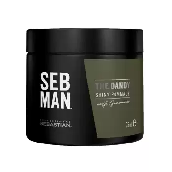 Sebastian Man The Dandy Pomade 75ml