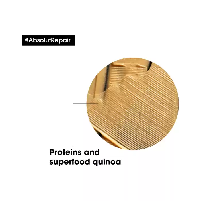 Loreal Serie Expert Absolut Repair Yıpranmış Saçlar için Onarıcı Altın Maske 250ml 3474636975327