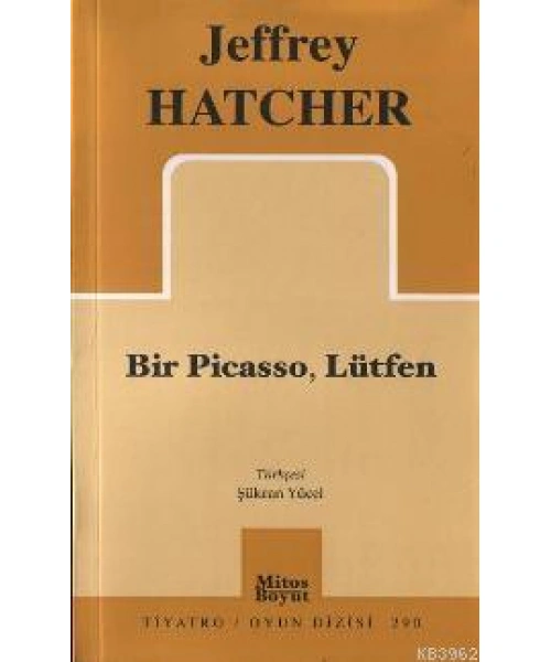 Bir Pıcasso, Lütfen