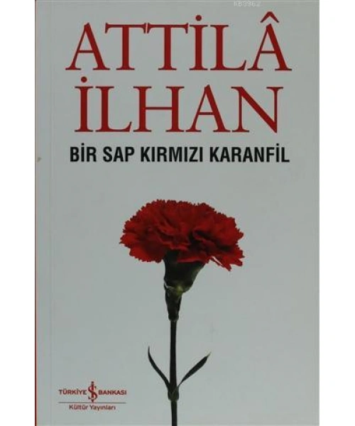 Bir Sap Kırmızı Karanfil Cumhuriyet Söyleşileri (Eylül 96 - Mart 97)