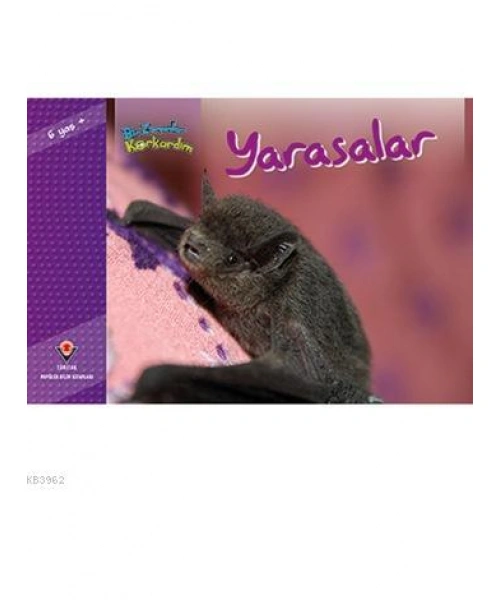 Bir Zamanlar Korkardım - Yarasalar