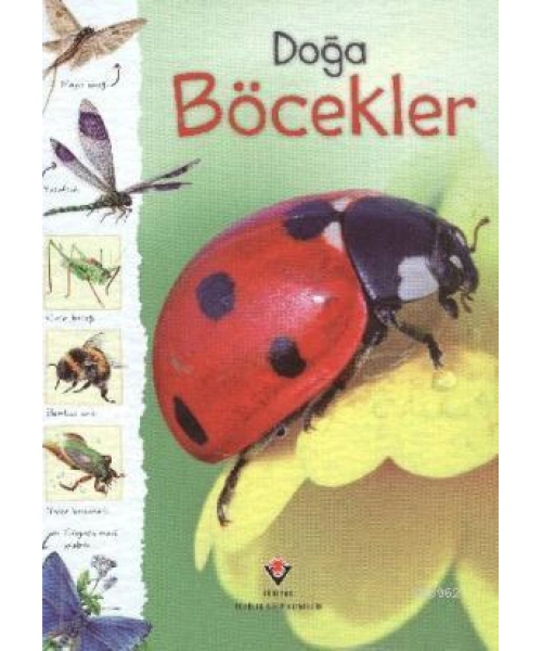 Doğa - Böcekler