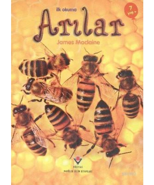 İlk Okuma - Arılar