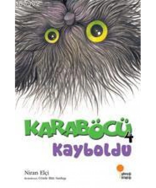 Karaböcü 4 - Kayboldu