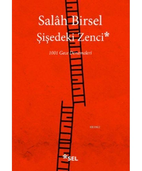 Şişedeki Zenci; 1001 Gece Denemeleri