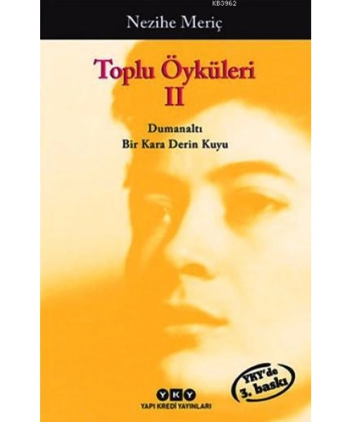 Toplu Öyküleri 2; Bütün Yapıtlarına Doğru