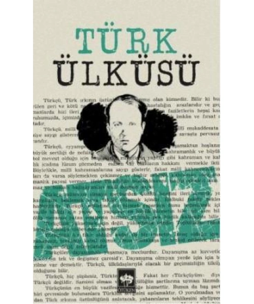 Türk Ülküsü