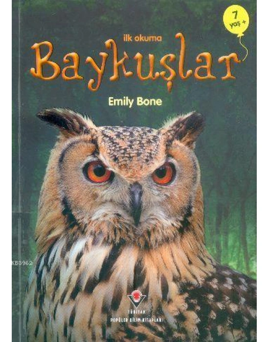Baykuşlar