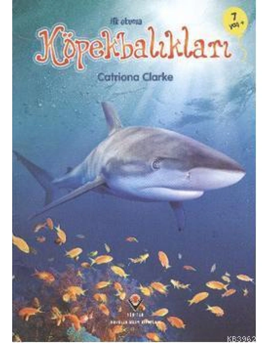 İlk Okuma - Köpekbalıkları