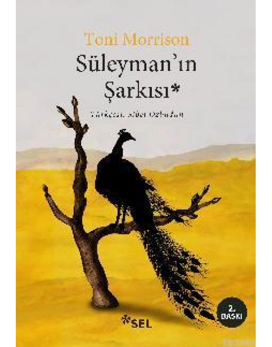 Süleymanın Şarkısı