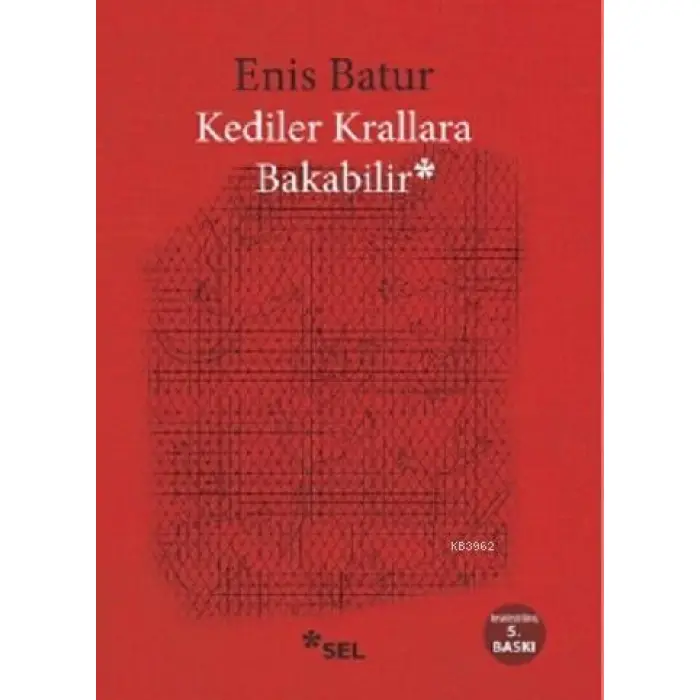 Kediler Krallara Bakabilir