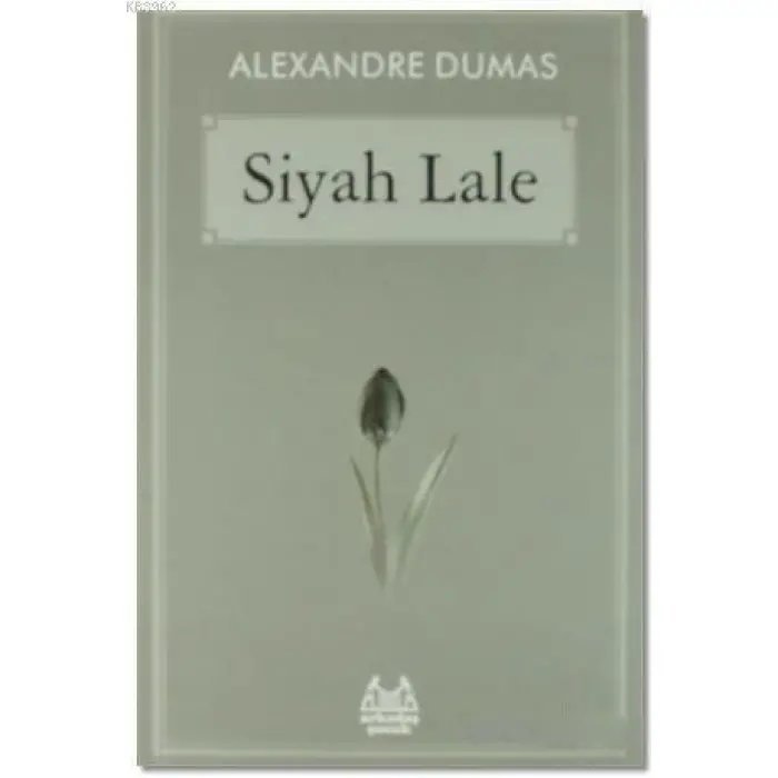 Siyah Lale