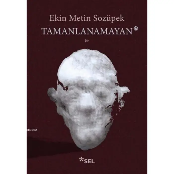 Tamanlanamayan