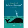 Balinanın Karnında