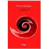 Çukur