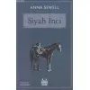 Siyah İnci