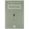 Siyah Lale