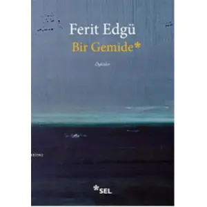 Bir Gemide