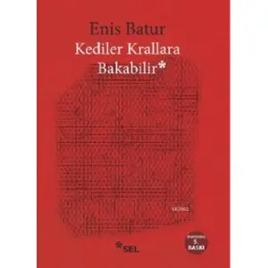 Kediler Krallara Bakabilir