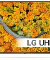 LG 43UP75006LF 43 4K ULTRA HD TV