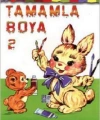 Tamamla Boya 2