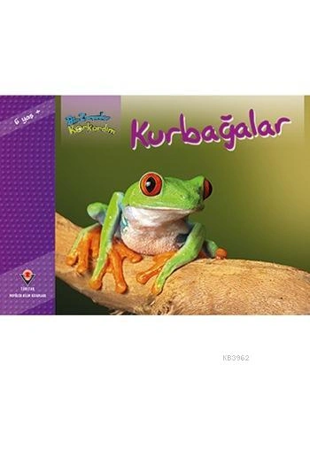 Bir Zamanlar Korkardım - Kurbağalar