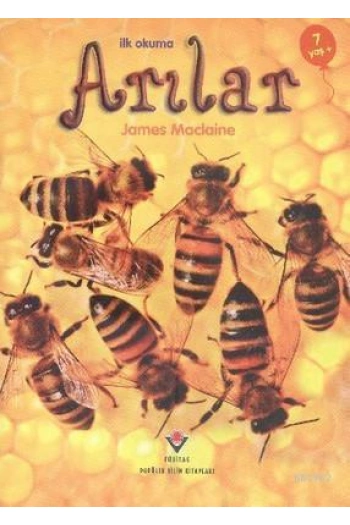 İlk Okuma - Arılar