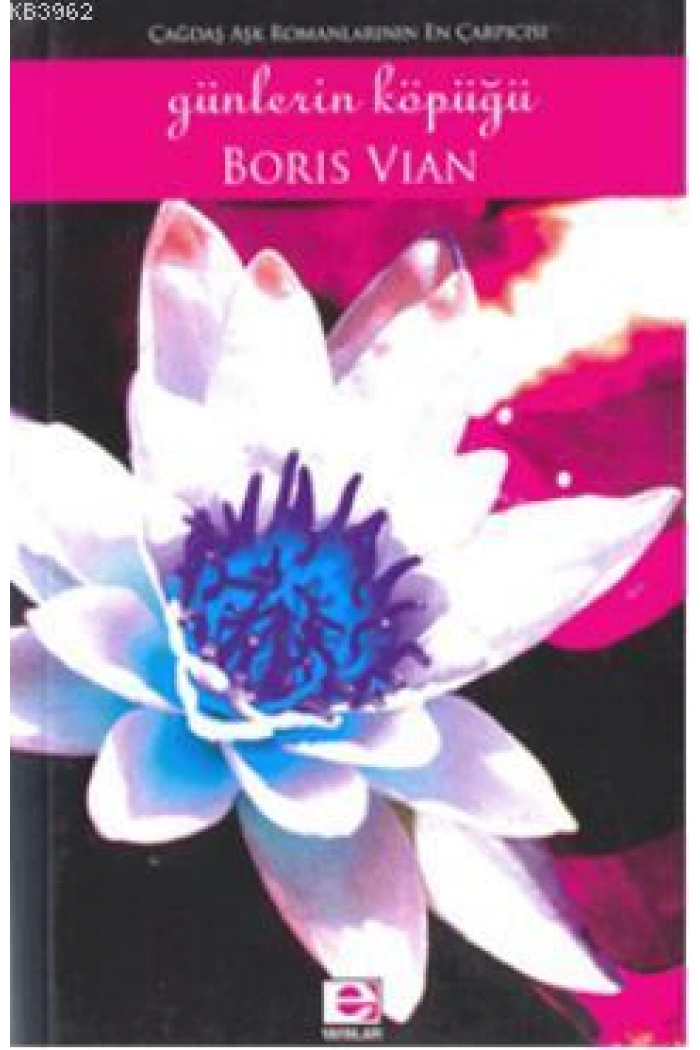 Günlerin Köpüğü