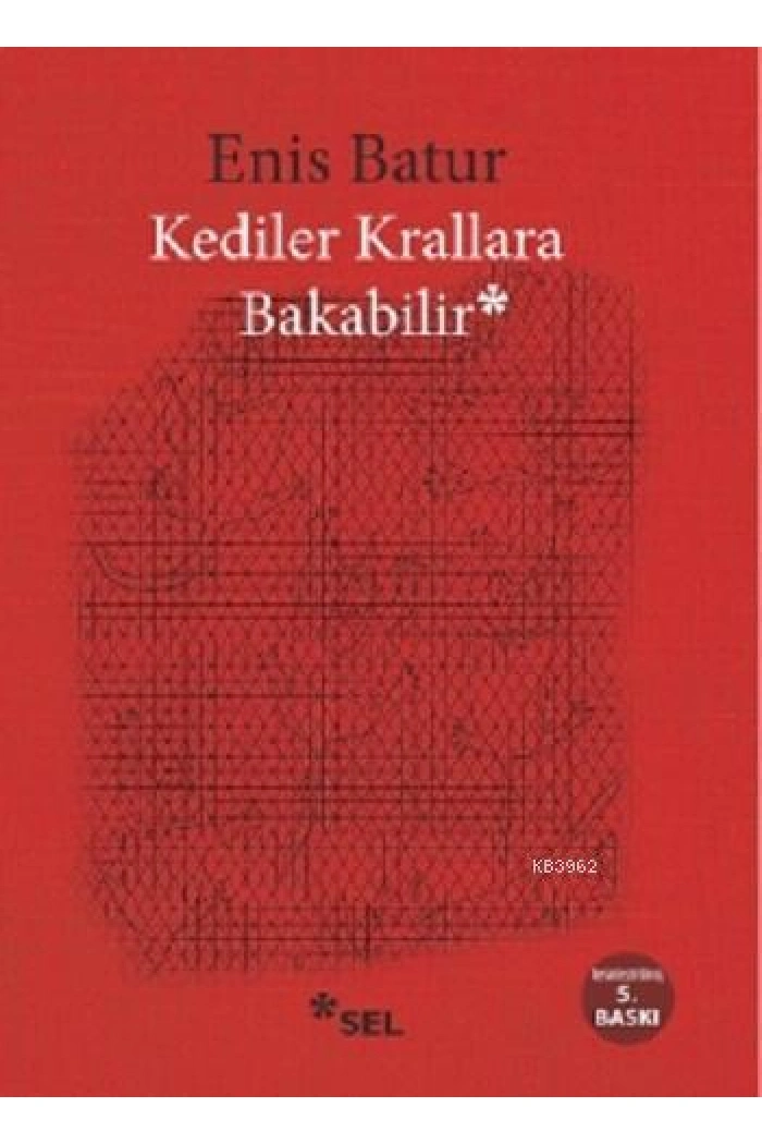 Kediler Krallara Bakabilir