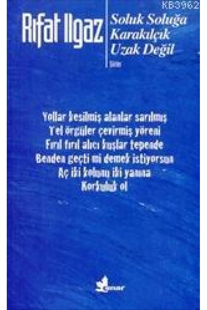 Soluk Soluğa / Karakılçık / Uzak Değil