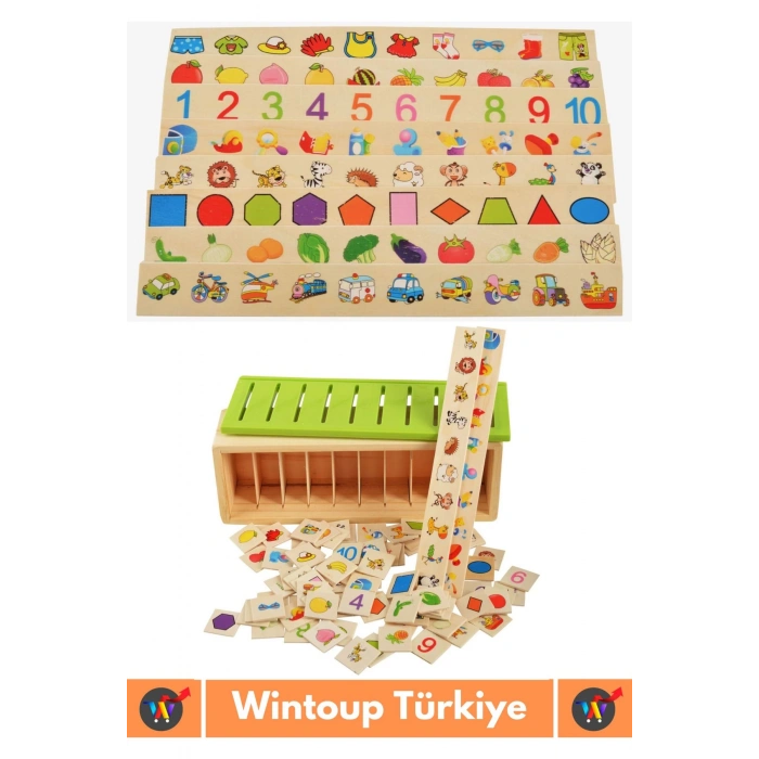 Premium Eğitici Zeka Koordinasyon Geliştirici Kişisel Gelişim Çocuk Ahşap Bilgi Sınıflandırma Kutusu