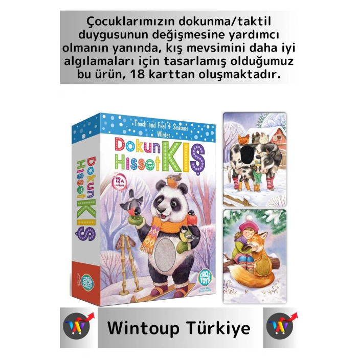 Premium Duyusal Gelişim Görsel Algı Eğlenceli Öğrenme Çocuk Kış Mevsim Tanıma Eğitim Kartları