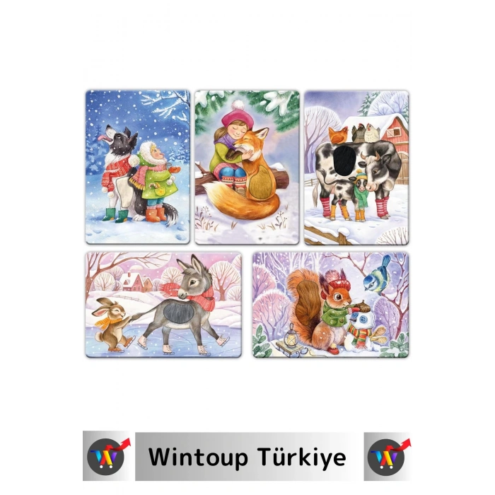 Premium Duyusal Gelişim Görsel Algı Eğlenceli Öğrenme Çocuk Kış Mevsim Tanıma Eğitim Kartları