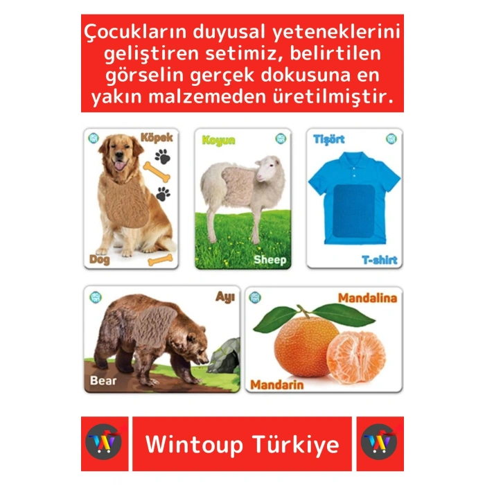 Premium Eğitici Duyusal Gelişim Görsel Algı Eğlenceli Öğrenme Çocuk Dokun Hisset Tanı Eğitim Kartlar