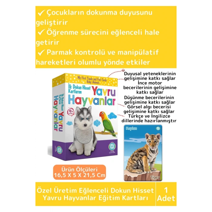 Premium Eğitici Çocuk Gelişimi Eğlenceli Öğrenme Dokun Hisset Tanı Yavru Hayvanlar Eğitim Kartları