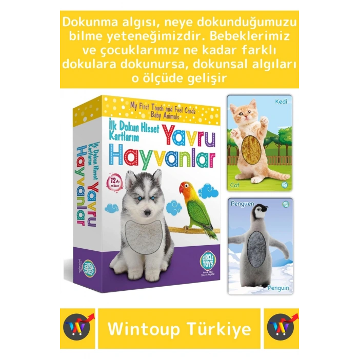 Premium Eğitici Çocuk Gelişimi Eğlenceli Öğrenme Dokun Hisset Tanı Yavru Hayvanlar Eğitim Kartları